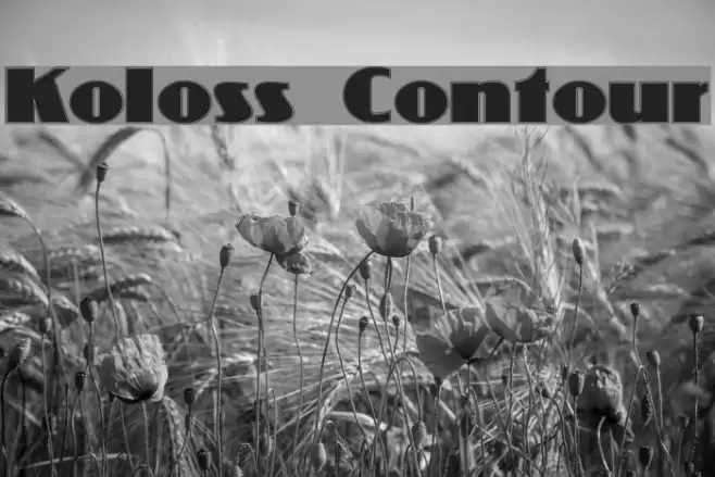Koloss Contour Font examples