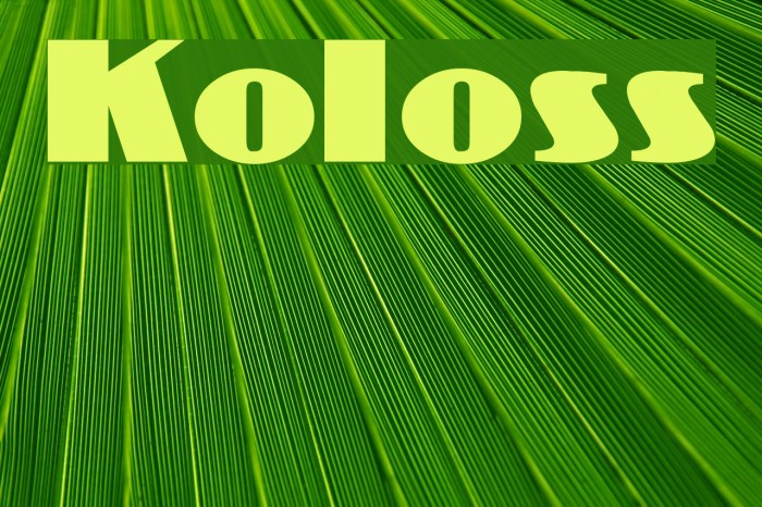 Koloss Font examples