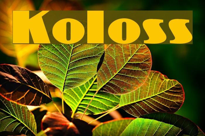 Koloss Font examples