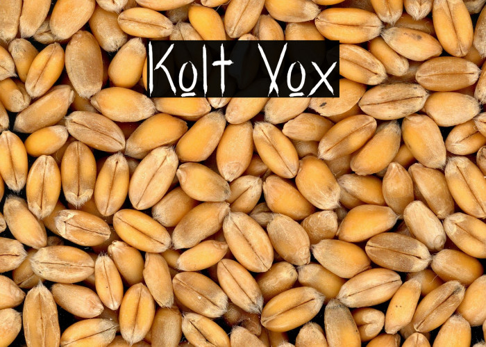 Kolt Vox Example 2
