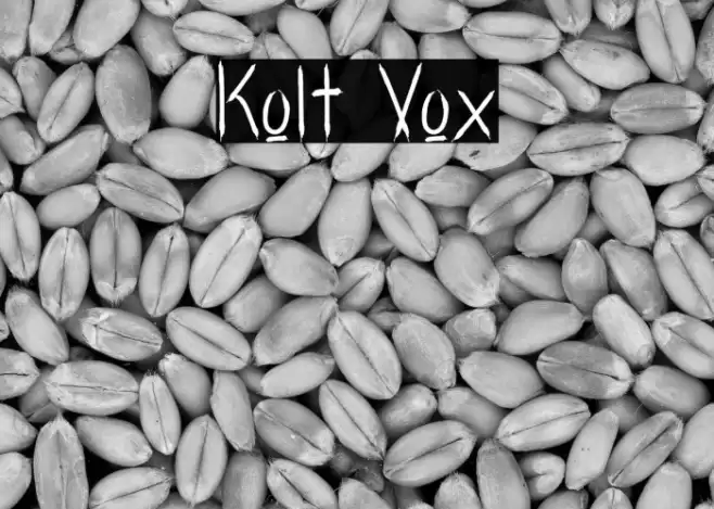 Kolt Vox Font examples