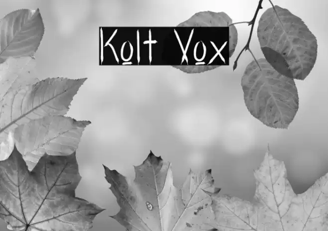 Kolt Vox Font examples