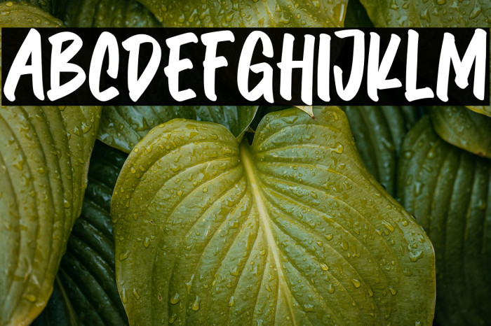 Komersie-Regular Font examples