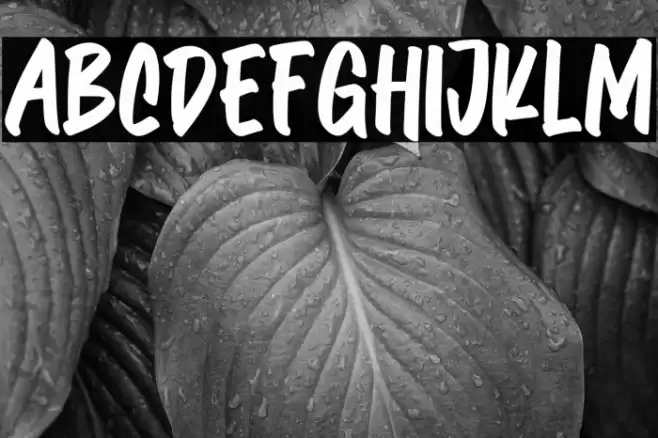 Komersie-Regular خط examples