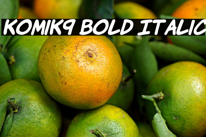 KomiK9 Bold Italic Example 1