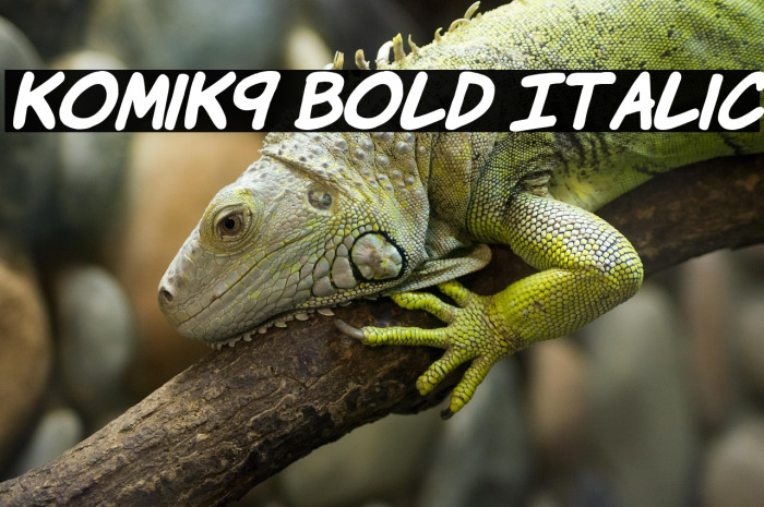 KomiK9 Bold Italic Example 2