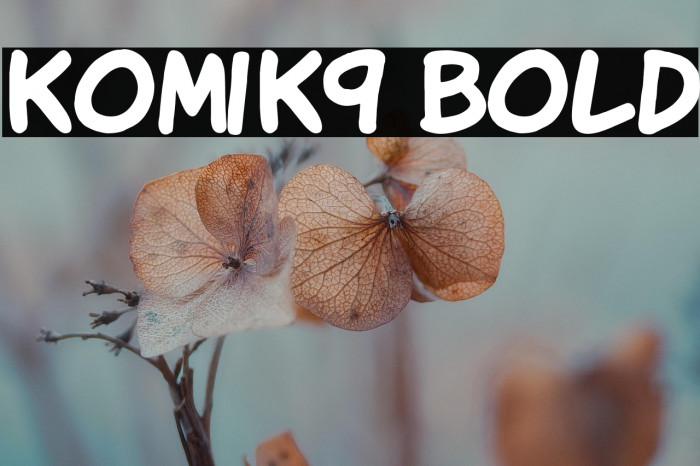 KomiK9 Bold Example 1