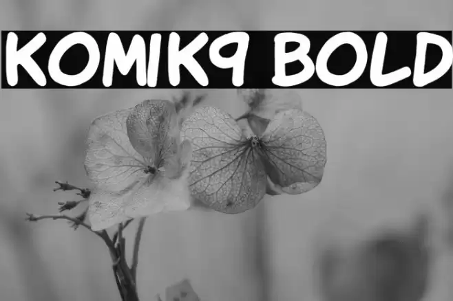 KomiK9 Bold Font examples