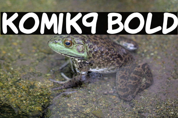 KomiK9 Bold Example 3