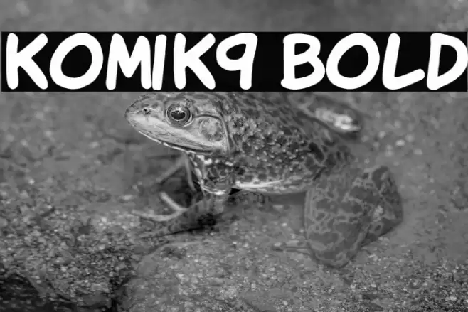 KomiK9 Bold Font examples