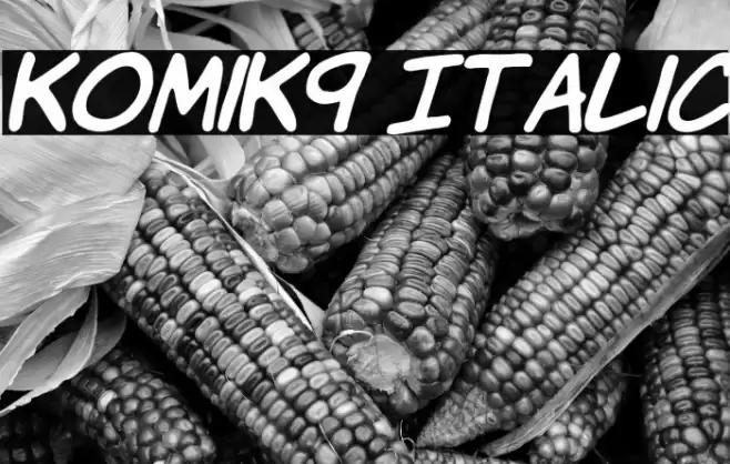 KomiK9 Italic Font examples