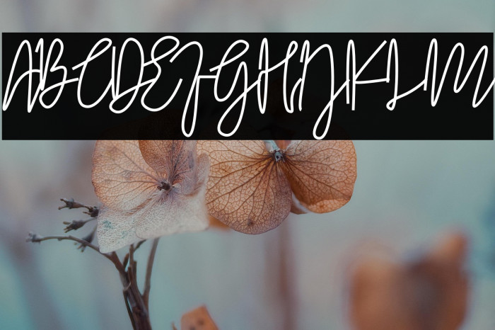 Komic Kook Example 1