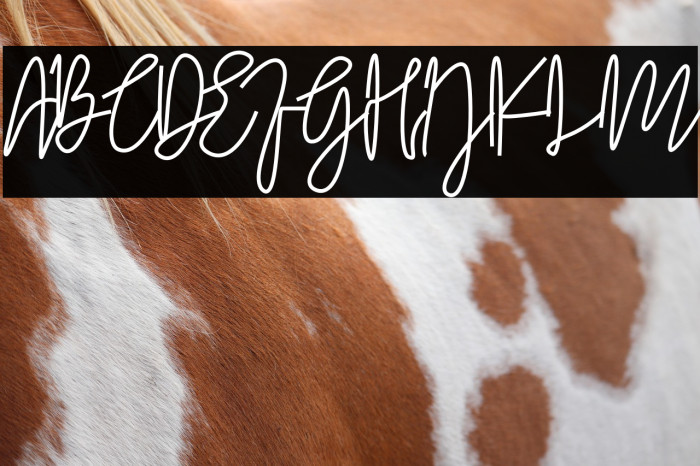 Komic Kook Example 2