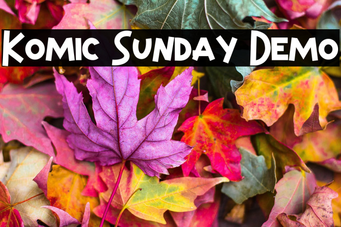 Komic Sunday Demo Example 3