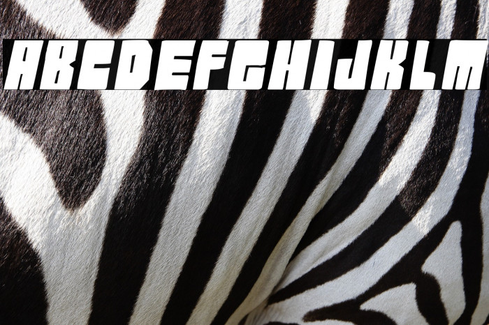 Komik Blok pg Italic Example 2