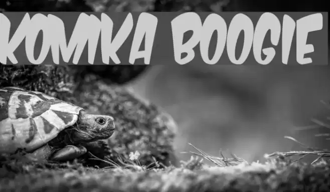 Komika Boogie Font examples