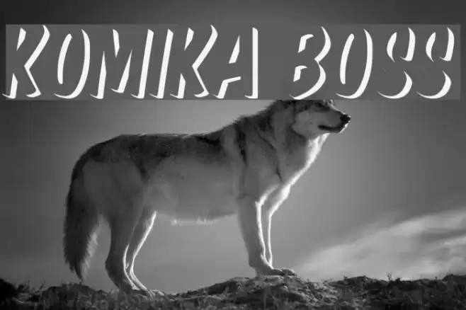 Komika Boss Font examples