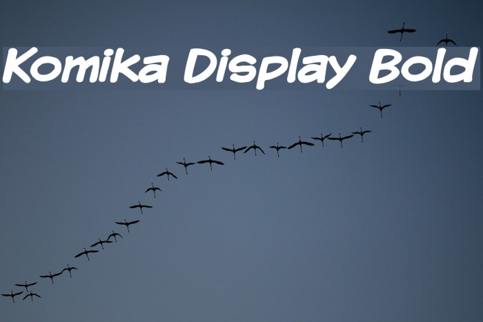 Komika Display Bold Font examples