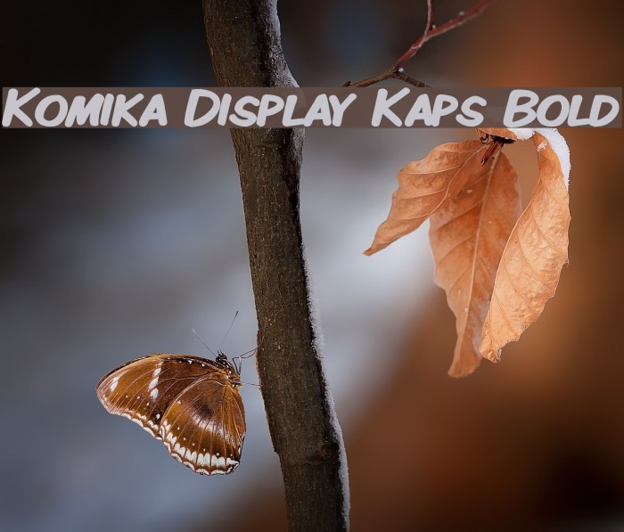 Komika Display Kaps Bold Font examples