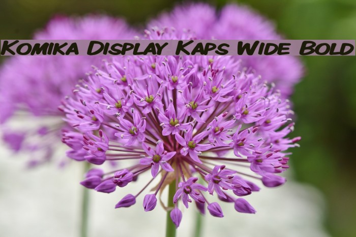 Komika Display Kaps Wide Bold Font examples