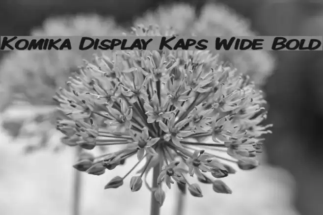 Komika Display Kaps Wide Bold フォント examples