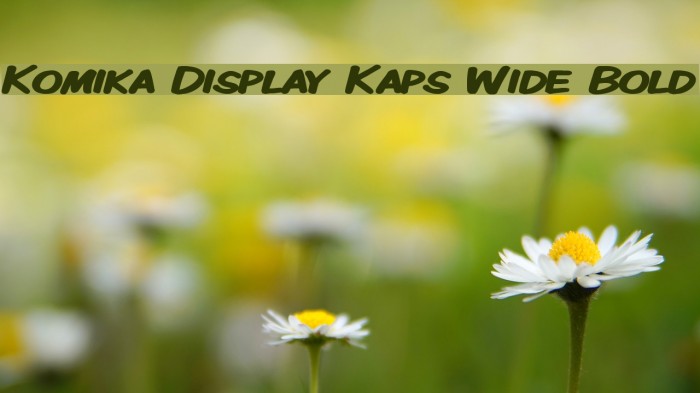 Komika Display Kaps Wide Bold Font examples