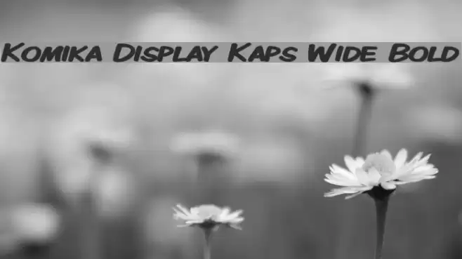 Komika Display Kaps Wide Bold フォント examples