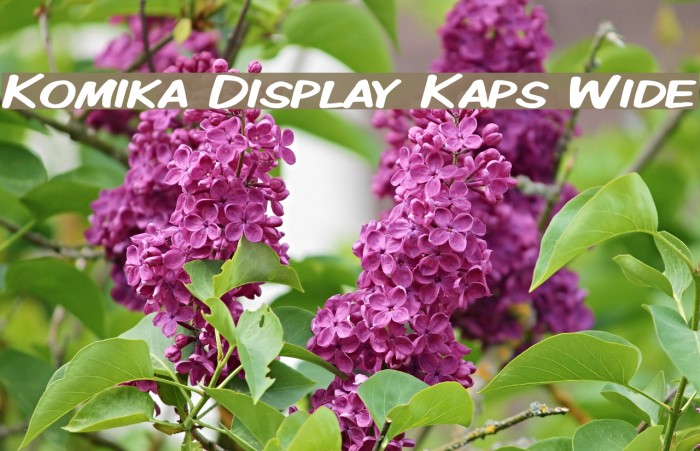 Komika Display Kaps Wide Font examples