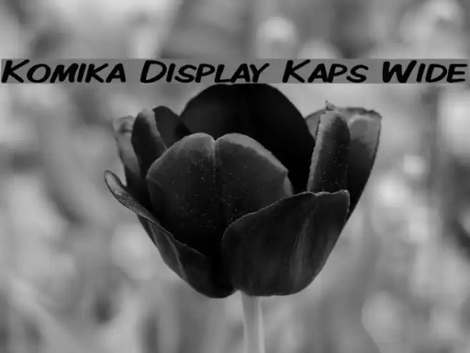Komika Display Kaps Wide フォント examples