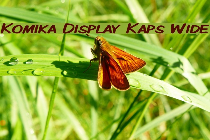 Komika Display Kaps Wide フォント examples