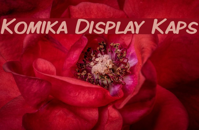 Komika Display Kaps Font examples