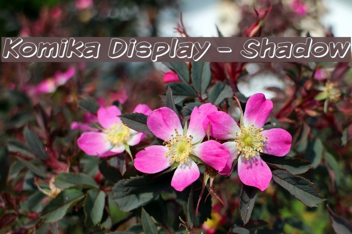 Komika Display - Shadow Example 1