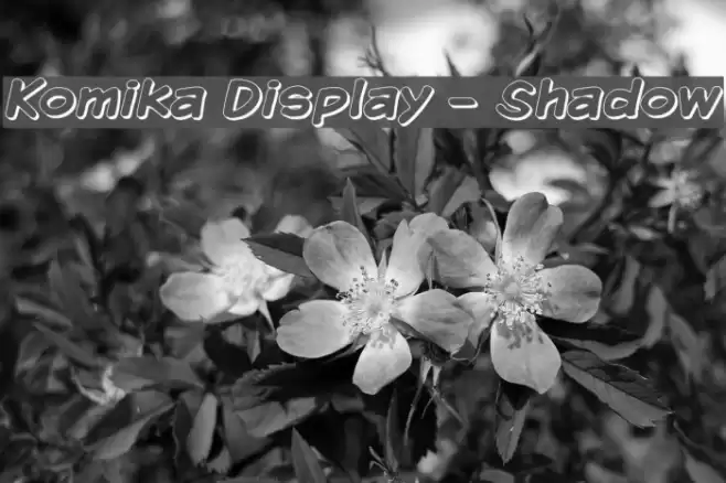 Komika Display - Shadow Font examples