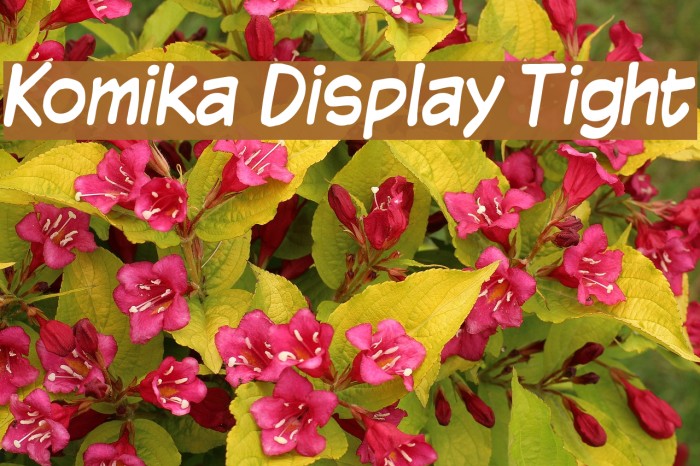 Komika Display Tight Font examples