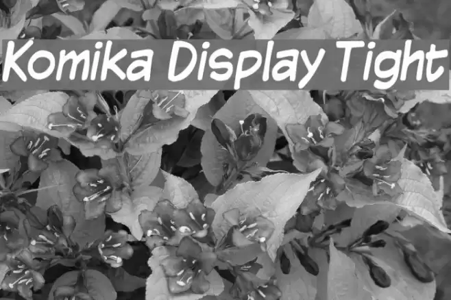 Komika Display Tight Fonte examples