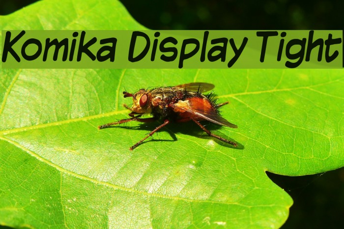 Komika Display Tight Font examples