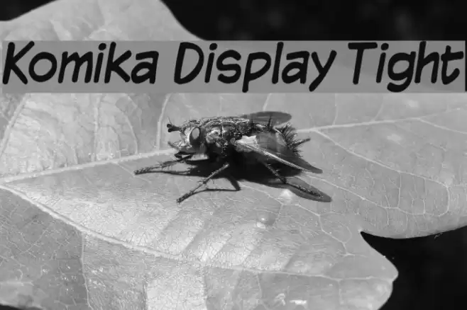 Komika Display Tight Fonte examples