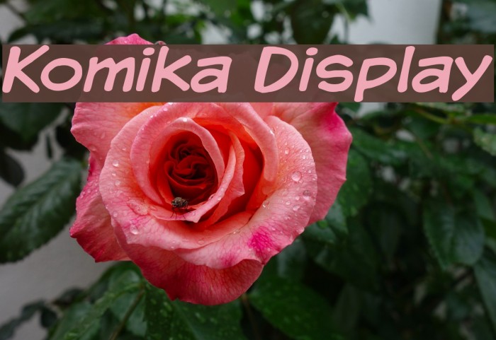 Komika Display Fonte examples