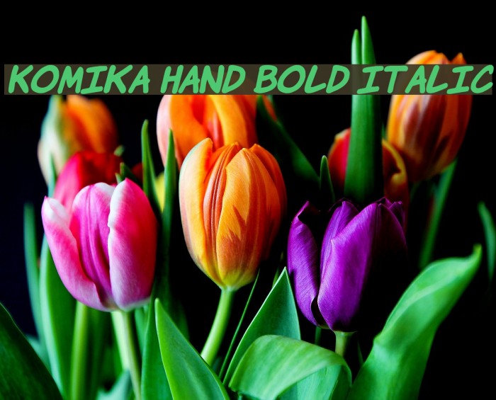 Komika Hand Bold Italic Example 1