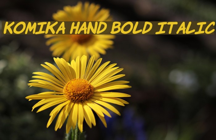 Komika Hand Bold Italic Font examples