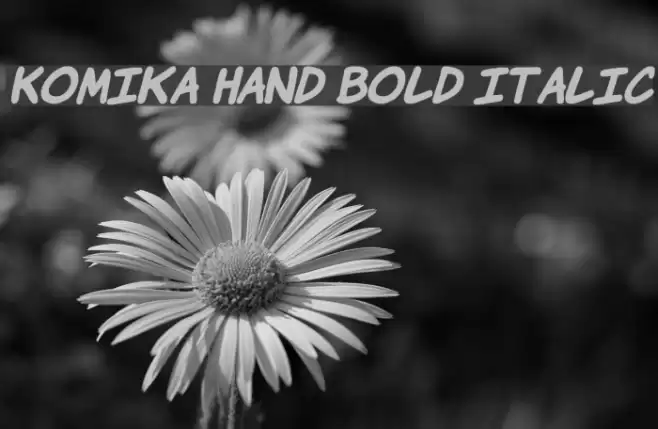 Komika Hand Bold Italic Fuentes examples