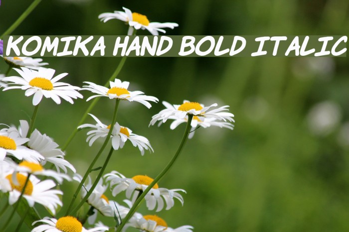 Komika Hand Bold Italic Font examples