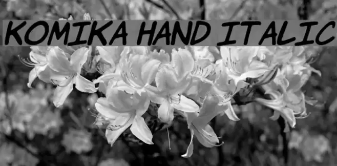 Komika Hand Italic Font examples