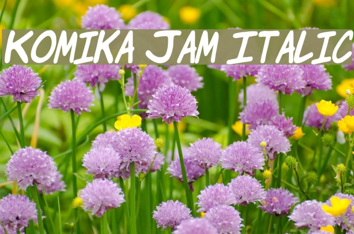 Komika Jam Italic Font examples
