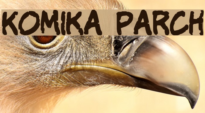 Komika Parch Font examples