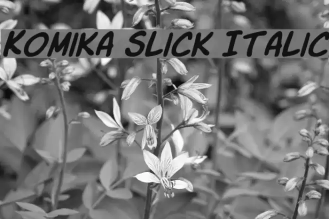 Komika Slick Italic  examples