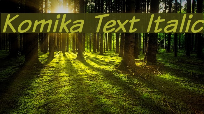 Komika Text Italic Font examples