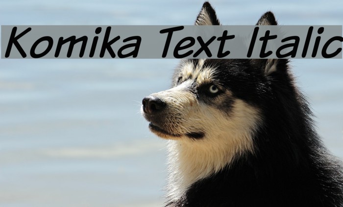 Komika Text Italic Font examples