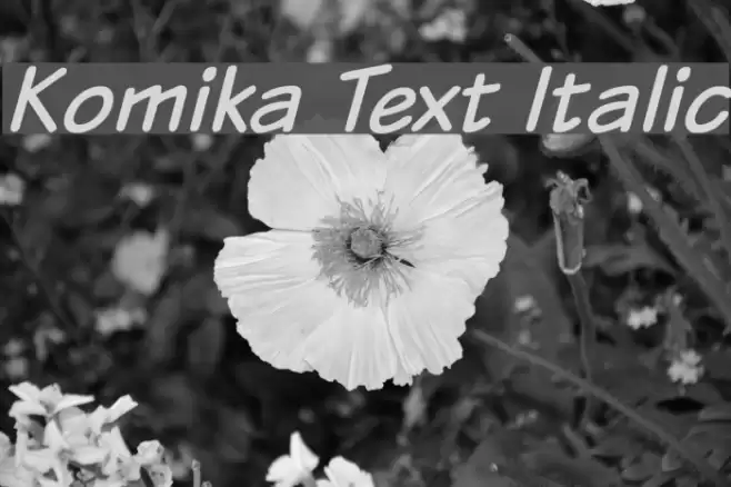 Komika Text Italic  examples
