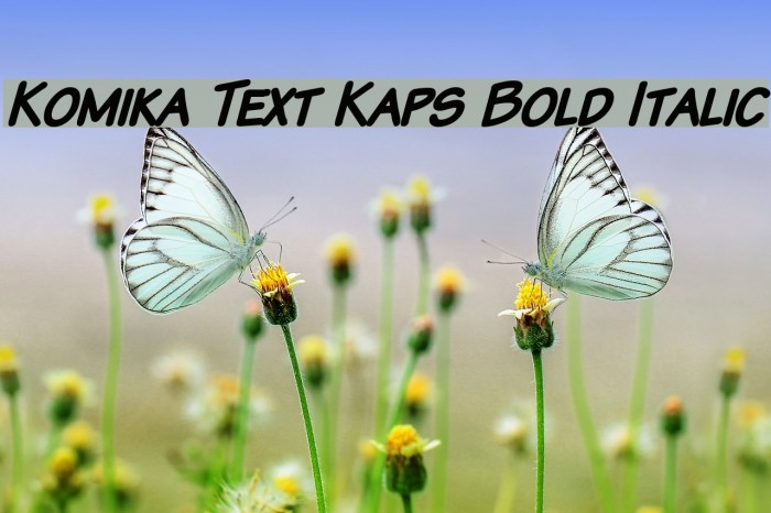 Komika Text Kaps Bold Italic Font examples